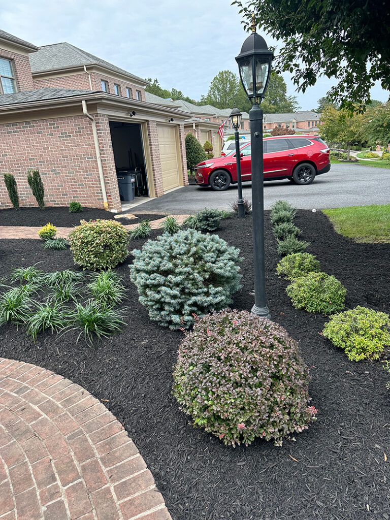 Baltimore County Landscaper